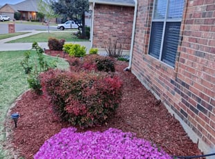 Mulching by Muhammad Rasheed for Yu F. in Norman, OK