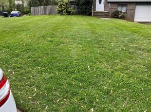 Sam A.'s Lawn Mowing service result