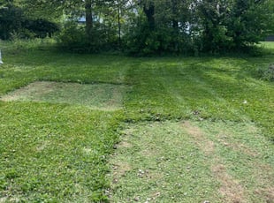 Carol T.'s Lawn Mowing service result