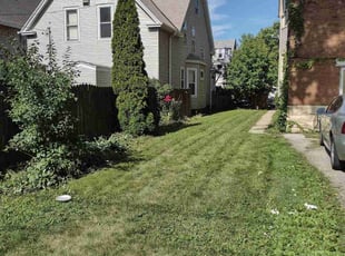 Bush Trimming by Fabian Barron for Lafonzo W. in Milwaukee, WI