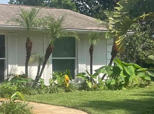 Kevin L.'s Bush Trimming service result