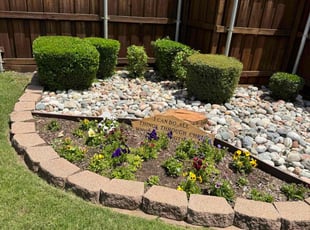 Bush Trimming by Maria Hernandez for Michael B. in Carrollton, TX