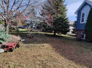 Leaf Removal by Willie Triplett for Warda M. in Maplewood, MN