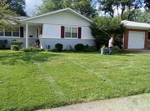 Bush Trimming by Elisha Nelson for June G. in Columbus, OH