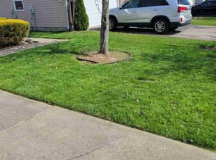 Andre H.'s Lawn Service service result