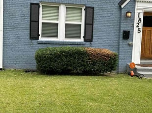 Bush Trimming by Norman Blanchard for H. in Washington, DC