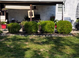 Terry L.'s Bush Trimming service result