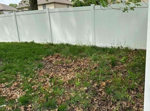 Cleanups by Charles Jones for Amber C. in Independence, MO