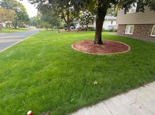 Vickie S.'s Lawn Care service result