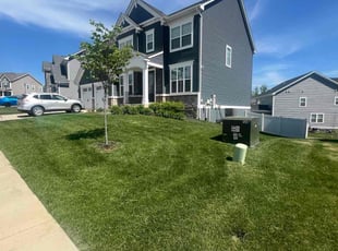 Tracy B.'s Lawn Service service result