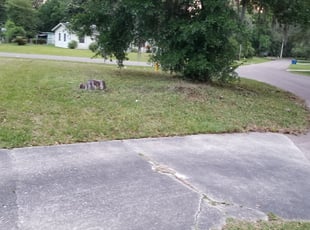 Cleanups by Dennis Morel for Yanio G. in Jacksonville, FL