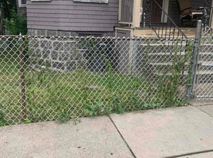 Bush Trimming by Richard Gibson for Martin P. in Boston, MA