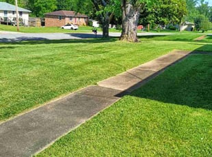 Brenda S.'s Lawn Care service result