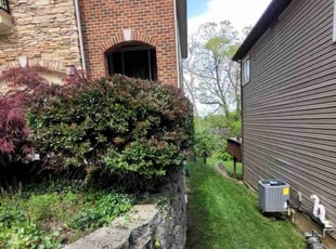 Bush Trimming by Lawrence Tischler for Ariel S. in Cincinnati, OH