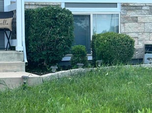 Bryan W.'s Bush Trimming service result
