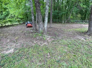 Leaf Removal by Chris Thomas for Jamie J. in Richmond, VA