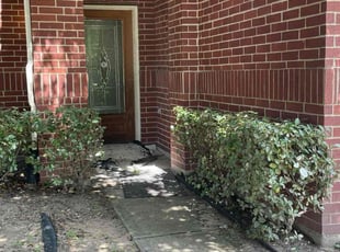Bush Trimming by Danny Blanco for Duane B. in Houston, TX