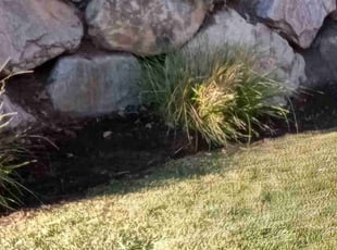 Weeding by Nathan Call for Kerry L. in Layton, UT