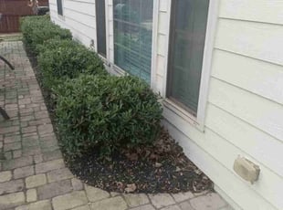 Bush Trimming by Enrique Juarez for Wade S. in Acworth, GA