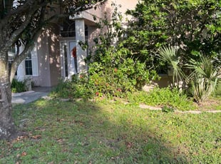 Bush Trimming by Bobby Adisano for Skylar R. in Winter Springs, FL