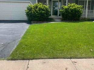 Don S.'s Lawn Mowing Service service result