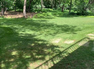 Leaf Removal by Akyme Stevens for Shareen L. in Minneapolis, MN