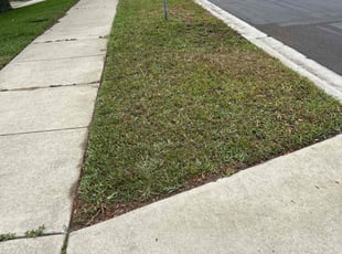 Cleanups by Patrick Paul for Jerome B. in Clermont, FL