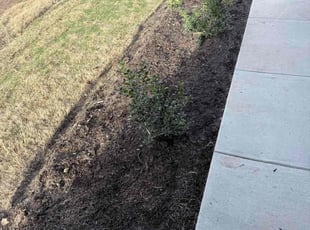 Weeding by Isabel López for Florinda S. in Jarrell, TX
