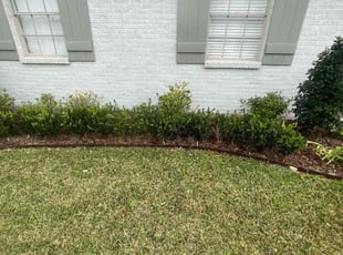Weeding by Nicholas Boutte for Andrew S. in Metairie, LA