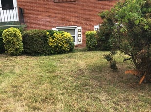 Bush Trimming by Donald Tucker for Terrie S. in Woodbridge, VA