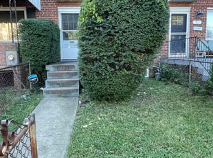 Bush Trimming by Fidel Rodriguez for Nia N. in Washington, DC