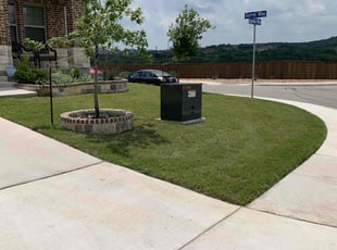 Lorraine A.'s Lawn Mowing Service service result
