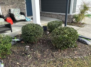 Bush Trimming by Larry Gordon for Tevran G. in Chesapeake, VA