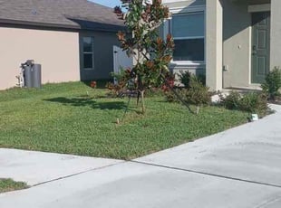 Patricia M.'s Lawn Care service result