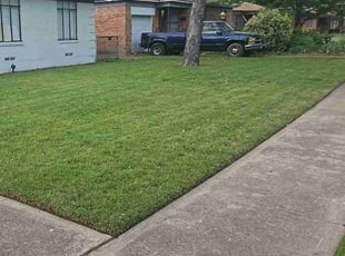 Riys L.'s Lawn Care service result