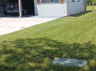 Arnie I.'s Lawn Mowing service result