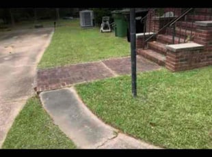 Nancy C.'s Grass Cutting service result
