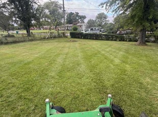 Morrigan B.'s Yard Cutting service result