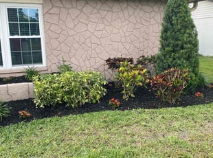 Bush Trimming by Jacob Hernandez for SHANNON R. in Tampa, FL