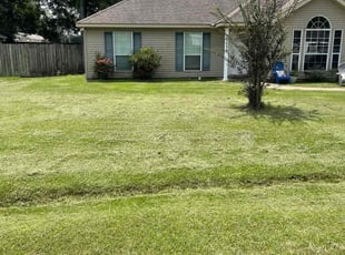 mathew b.'s Lawn Mowing service result