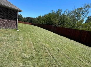 Brantly S.'s Yard Cutting service result