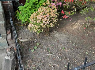 Bush Trimming by Davon Bynum for George H. in Richmond, VA
