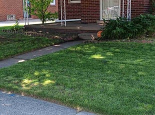 norvell C.'s Lawn Service service result