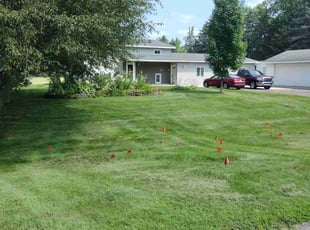 Randy B.'s Lawn Care service result