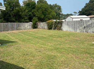 Elizabeth S.'s Lawn Care service result
