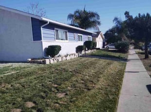 Sarah D.'s Lawn Service service result