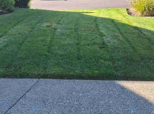 Lee M.'s Lawn Mowing Service service result