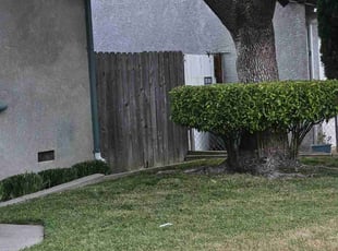 Bush Trimming by Juan Rodriguez for Gena A. in Sacramento, CA