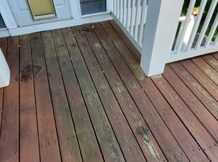 Leaf Removal by German Melara for Jim P. in Bethesda, MD
