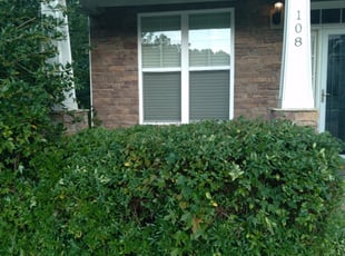 Bush Trimming by Anthony Houston for Kathryn G. in Holly Springs, NC